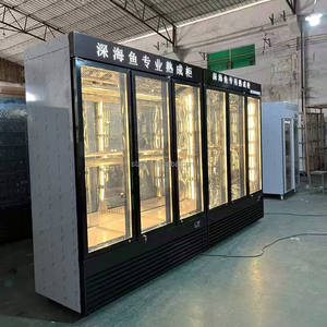 <span class=keywords><strong>Chambre</strong></span> de maturation et de séchage de viande de haute qualité, sans givre, à refroidissement par <span class=keywords><strong>air</strong></span>, avec éclairage intégré - Product Image 3