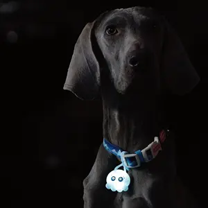लारू 2024 नए पालतू सहायक उपकरण प्यारा शैली कुत्ता उत्पाद पालतू जानवर की दुकान सभी आकार के कुत्तों के लिए गर्म बिक्री एलईडी कुत्ता कॉलर लाइट सूट