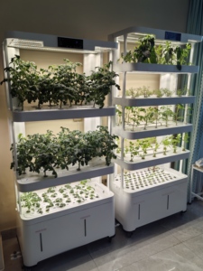 Système de culture intelligent d'<span class=keywords><strong>intérieur</strong></span>, système de culture hydroponique, pot de fleurs, kit de jardinage à domicile, éclairage <span class=keywords><strong>LED</strong></span> pour plantes, jardinières avec capteur - Product Image 4