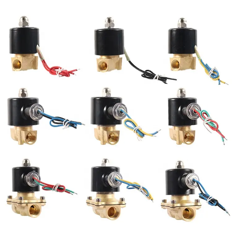 2W normalmente cerrado de latón eléctrica válvula magnética de DC 12V 24V AC 220V de dos vías de aire de la válvula de solenoide de agua