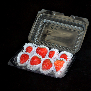 Usa e getta di Plastica Trasparente rettangolo A Conchiglia di Stoccaggio Di Frutta contenitore - Product Image 3