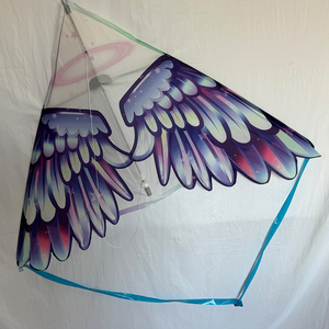 Vente en gros de cerfs-volants EZXL Angel Delta adaptés aux enfants, faciles à faire voler, jouet d'extérieur pour le plaisir et l'aventure - Product Image 1