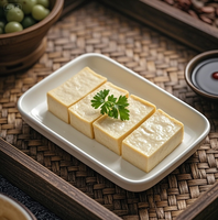 Machine à découper le tofu ultrasonique Wanlisonic 220V, outil pour tofu et poisson congelé avec moteur, pompe et roulement pour la restauration