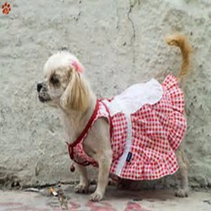 Perro de mascota ropa de talla fiesta cachorro perro vestido - Product Image 5