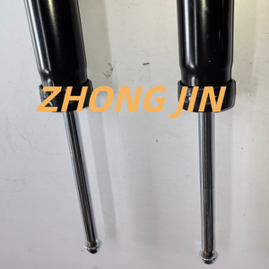 Parti di Sospensione Auto, Ammortizzatori Anteriori 31316873797 per BMW Serie 3 F30/F35 - Product Image 2