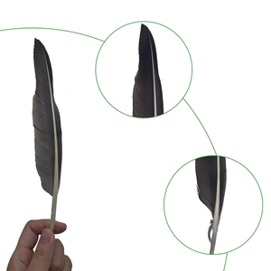Piume Naturali per Migliorare il Sonno, Decorazioni per la Casa, Addobbi Murali, Arredamento Morbido per Camere da Letto, Decorazioni per Postazioni di Lavoro, Ornamenti per Festival e Parate - Product Image 5