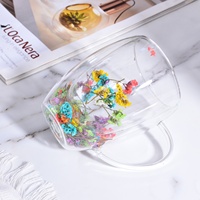 Tasses à café en verre borosilicate personnalisées Samyo, avec fleurs séchées bioniques, pour Noël, isolation à double paroi, gobelet à boire