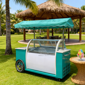 Chariot de Glaces Gourmet Personnalisé Remorquable avec Parasol, 2 Roues, Construction Métallique, Vitrine Réfrigérée pour Glaces - Product Image 1