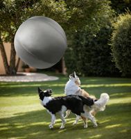 Ballon de yoga robuste de 45 cm pour chiens agressifs, jouet interactif gonflable et imperméable pour chiens, idéal pour l'extérieur