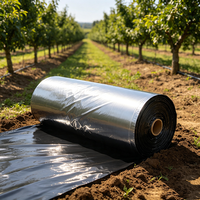 Film de paillage agricole en PE de haute qualité pour la culture de tomates, service de découpe sur mesure, durée de vie de 5 ans