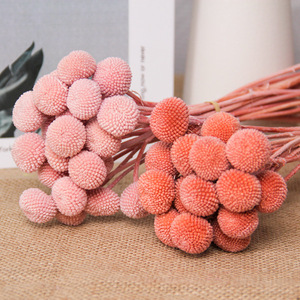 Vente en gros de matériel de bricolage préservé boutons Craspedia Flowers Everlasting Billy pour la décoration de mariage - Product Image 1