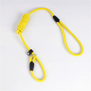 Collar de plomo antideslizante para perros, correa de estrangulación, Correa P, cuerda de entrenamiento de nailon duradera, Correa P para mascotas sin tirones para correr, accesorios para perros - Product Image 3