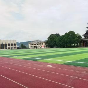 Proveedor Futsal Césped sintético Césped de fútbol artificial <span class=keywords><strong>5</strong></span> A Campo de fútbol lateral Artificial - Product Image 1
