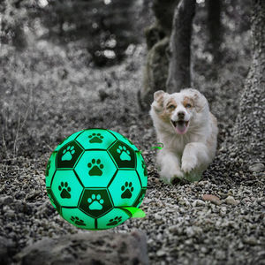 Produttore all'ingrosso durevole resistente al morso in Nylon pallone da calcio giocattolo all'aperto cane gatto interattivo EVA PU vendita calda su per Amazon - Product Image 3