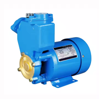 Pompe à eau électrique auto-amorçante à usage domestique PS126 0.5HP 370W marché irakien