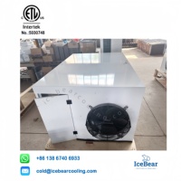 ICE BEAR Monobloc monté sur le toit chambre froide entrepôt réfrigération unité de condensation fournisseurs au Canada/marchés africains