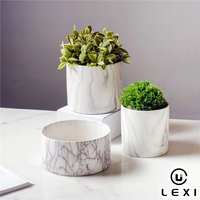 Pot de fleurs en porcelaine à motif marbre moderne, trou de drainage, couleur personnalisée, pour plantes succulentes, cactus, petites plantes d'intérieur, maison, bureau