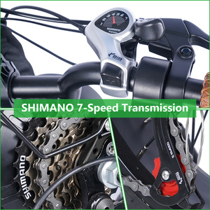 จักรยานไฟฟ้าสไตล์เรโทร EU Warehouse รุ่น E-Bike 1000W มอเตอร์  สองที่นั่ง สำหรับขับขี่ออฟโรด ยางใหญ่ พร้อมแบตเตอรี่สองก้อน - Product Image 6