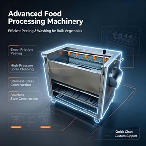 <span class=keywords><strong>Prix</strong></span> Compétitif pour Machine Automatique à Rouleaux Brossants pour le Lavage, le Polissage et le Pelage <span class=keywords><strong>du</strong></span> Gingembre, des Pommes <span class=keywords><strong>de</strong></span> Terre et des Carottes, Machine à Laver les Fruits - Product Image 2