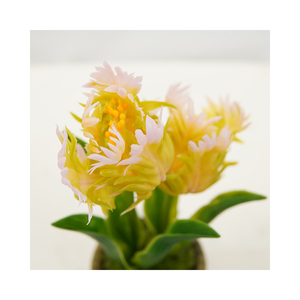 All'ingrosso fiore artificiale succulento giallo fiore realistico per interni decorativi per esterni Mini Bonsai in vaso - Product Image 2