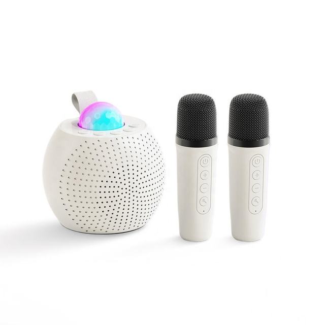 Personal Stage Use Mini Portable RGB Light Karaoke Speaker with Colorful Lights Wireless Connectivity