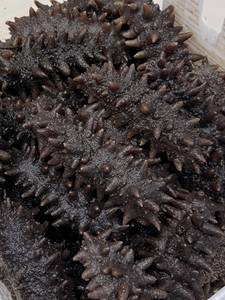 Cetriolo di Mare di Alta Qualità Pronto da Mangiare, Confezione Regalo per Anno Nuovo per Anziani e Amici - Product Image 6