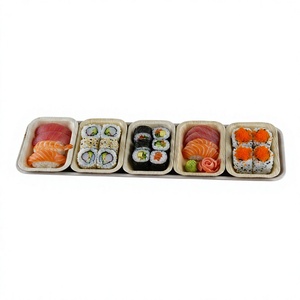 Platos de Sushi Cuadrados de Hoja de Palma Premium de 13 Pulgadas, Ecológicos, Aptos para Microondas, Compostables, 100% Naturales, Biodegradables y Desechables - Product Image 2