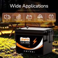 Batterie lithium-ion phosphate prismatique LiFePo4 12,8V 25,6V 100Ah 200Ah 300Ah, pack de cellules LFP pour applications industrielles