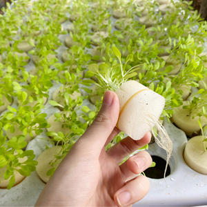 Serres agricoles Systèmes de culture aquaponique 128 trous <span class=keywords><strong>Plateau</strong></span> à clones 80 trous Boîte à cloner avec couvercle Collier Pompe à eau - Product Image 5