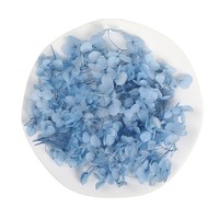 Bunga Lilin Campuran Anna Hydrangea, Bahan DIY Buatan Tangan, Bunga Abadi Tanpa Pewarna, Dekorasi Kipas, Kit Bingkai Foto