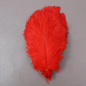 Plume d'autruche plumes d'autruche colorées 70-75cm pour la décoration de robes de mariée de fête - Product Image 4