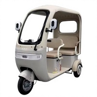 Tricycle électrique à double rangée pour loisirs, usage double passagers et marchandises, véhicule à batterie pour le transport scolaire des enfants