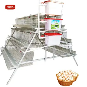 Hot Selling Dip Galvanized Chicken Layer Cage Factory Price Automatic Poultry Layer Cages Manure Removal Systems For Sale