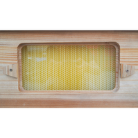 Neues Witbee Wachsbeschichtetes Automatisches Selbstfließendes Bienenstock-Set, 7 Rahmen, 10 Langstroth-Rahmen, 20mm Dicke, Einfach zu Bedienende Imkerei-Ausrüstung