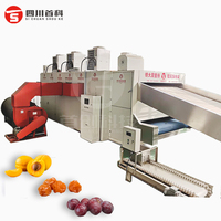 Automatische 20 Ton Warmtepomp Fruitdroger Machine Voor Pruim Citrus Avocado Abrikoos & Snoei Met Plc Componenten Voor Voedselverwerking