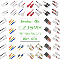 Kabel Harness Kustom JST 2.0 PH 2.0 2/3/4/5Pin1007 24AWG untuk Perakitan Kabel Konektor Otomotif 4-Pin