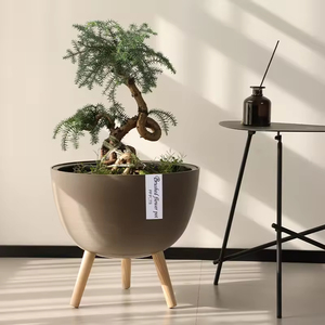 Pot à fleurs brossé en plastique PP <span class=keywords><strong>de</strong></span> haute qualité, idéal pour la décoration intérieure du salon, <span class=keywords><strong>de</strong></span> la maison ou du balcon. - Product Image 2