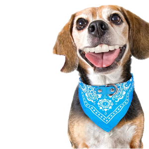 <span class=keywords><strong>Collar</strong></span> de perro moderno con toallitas de saliva triangulares impresas, accesorios para mascotas de Material PU con decoración de bufanda, Baberos para perros pequeños - Product Image 1