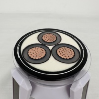 Fournisseur de câble d'alimentation électrique blindé, ignifuge, résistant au feu, câble d'alimentation électrique blindé en cuivre et acier