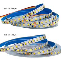 Nouvelle conception de bande LED SMD2835 DC 12V/24V 3000K/4000K/6000K, PCB en cuivre, étanche IP67, personnalisable, flexible, pour aménagement paysager