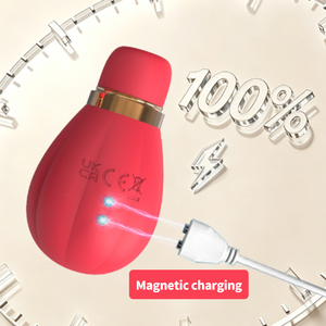 Vibrateur à ventouse 2-en-1 étanche IPX7 rechargeable pour <span class=keywords><strong>clitoris</strong></span> et point G avec 5 fréquences – Offre Spéciale - Product Image 2