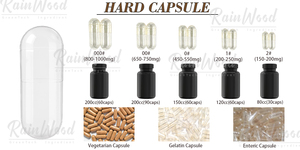 Capsules de complexe de vitamines B6 et <span class=keywords><strong>B12</strong></span> avec magnésium thréonate, phosphatidylsérine, extrait de Bacopa Monnieri de Rainwood - Product Image 3
