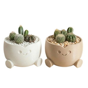 Creative Smile Face Resin Flower Pot For Cactus Indoor Desktop Plant Decor Cartoon Style Modern Design - Product Image 5