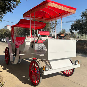 Carruajes de Caballos para Bodas y Turismo, y Carruajes Eléctricos de Última Generación - Product Image 1