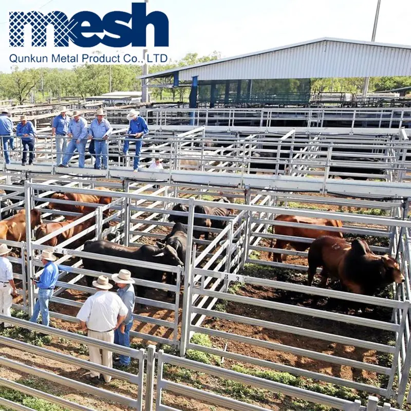 Заводская полевая ограда для крупного рогатого скота
