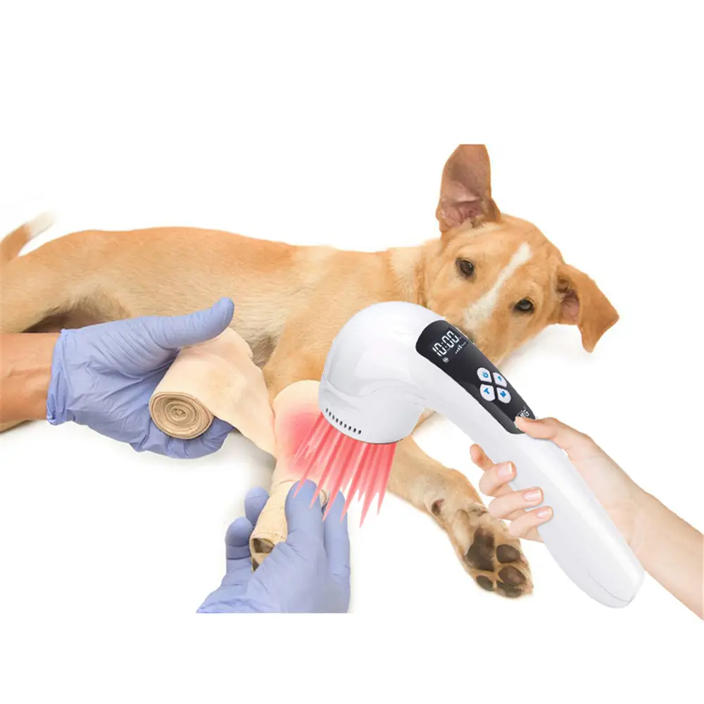 Animais de estimação saúde portátil luz vermelha tratamento melhor dispositivo de terapia a laser frio para cães