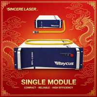 Sumber Laser Fiber Modul Tunggal Raycus 3000W CW, Stabilitas Tinggi untuk Mesin Pemotong Logam Industri