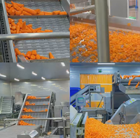 IQF Diepvriesgroenten Gemengde Groentenmix Snelgevroren Erwten Mais Erwten Wortelen Broccoli Groothandel Voedselservice