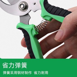 Garden Pruning Shears Stainless Steel Bird Beak Design Fruit Picker Manual Pruner For Horticultural <b>Branch</b> Cutting - Product Image 2
