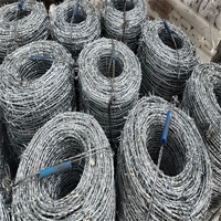 Alambre de Púas Galvanizado por Inmersión en Caliente |   Rollo de Alambre de Púas Recubierto de PVC Anti-Escalada para Cercas de Seguridad Perimetral